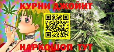 скорость Кингисепп