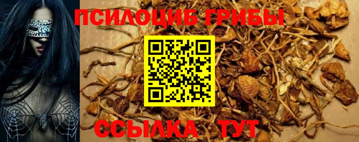 Галлюциногенные грибы Psilocybine cubensis  Вход с VPN  Крымск  Псилоцибиновые грибы мухоморы 